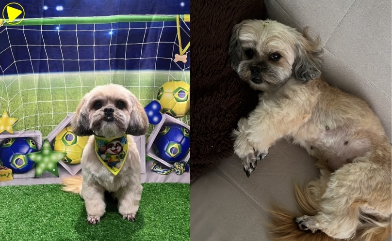 A Meg desapareceu no dia 07 de julho, após se ass