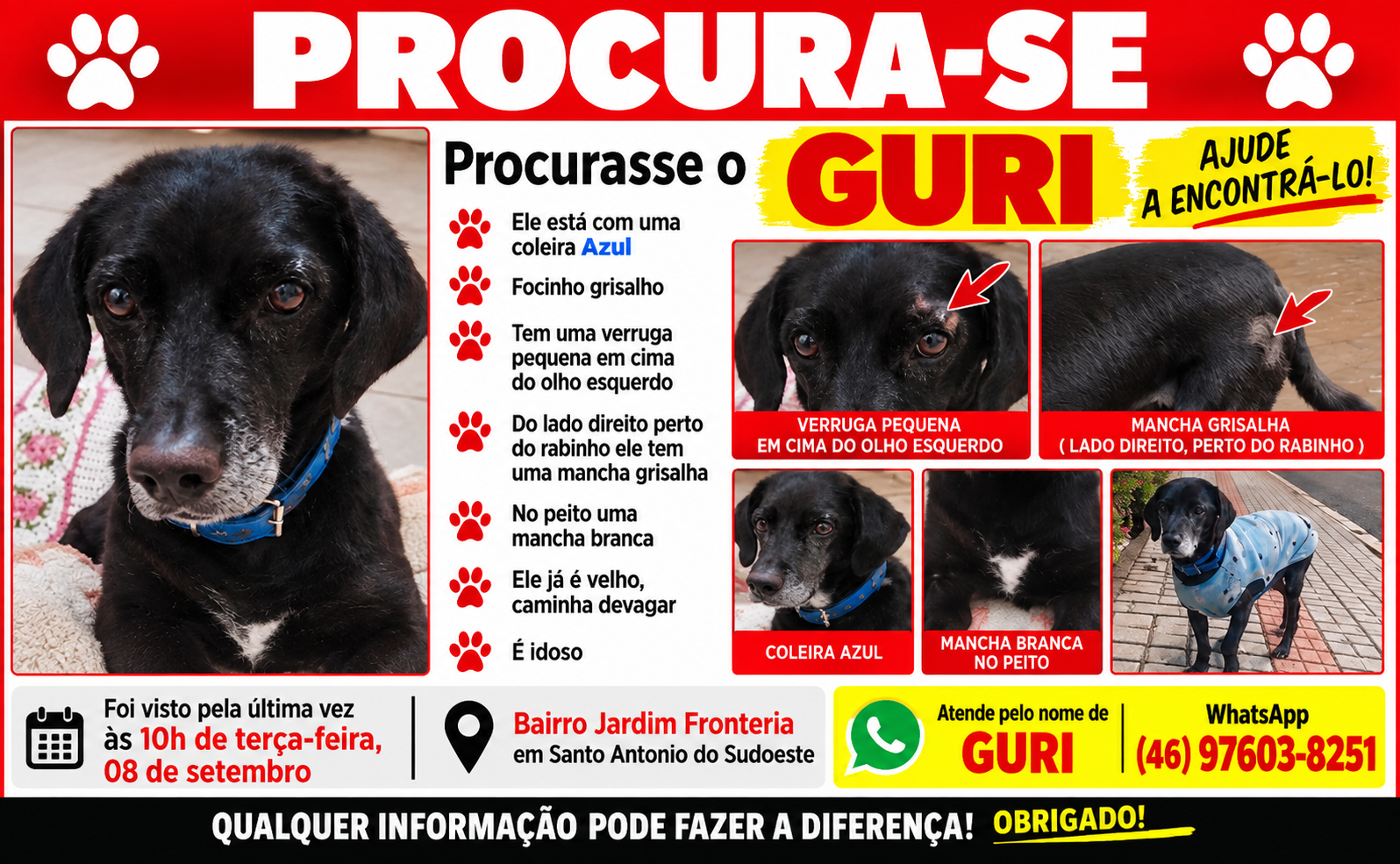 O Guri está desaparecido.
Última vez visto: Bai