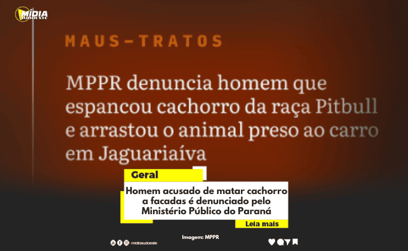 Homem acusado de matar cachorro a facadas é denunciado pelo Ministério Público do Paraná