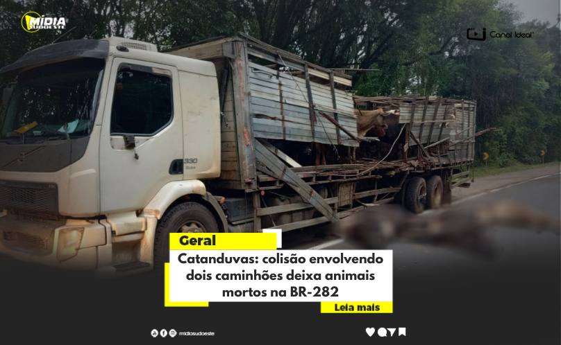 Catanduvas: colisão envolvendo dois caminhões deixa animais mortos na BR-282