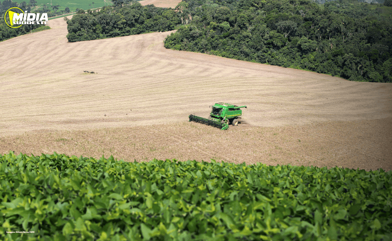 Primeira safra de feijão tem aumento de 55% de área plantada no Paraná