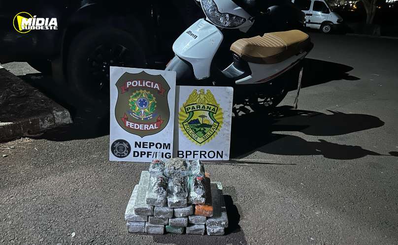 Foz do Iguaçu: apreensão de substância análoga a maconha e haxixe