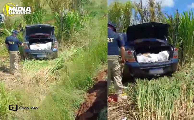 Xanxerê: Polícia Federal apreende mais de 99 kg de maconha na SC-480