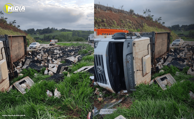 BR-163: caminhão tomba e deixa galinhas espalhadas