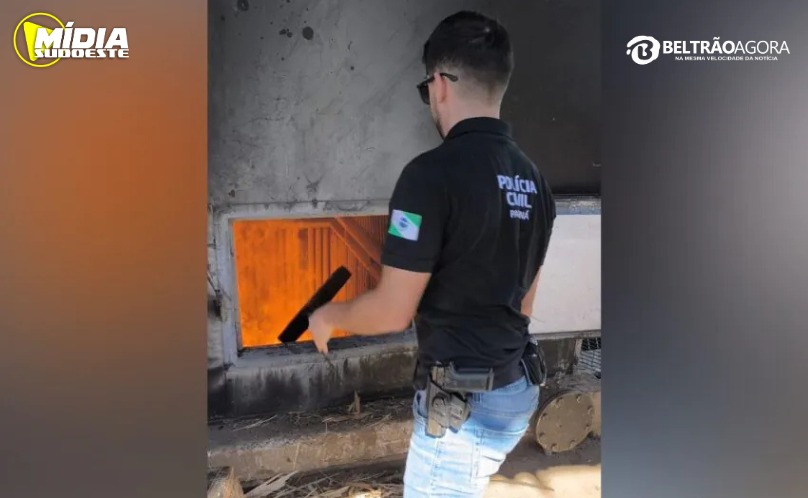 Francisco Beltrão: Polícia Civil incinera mais de 350 kg de drogas