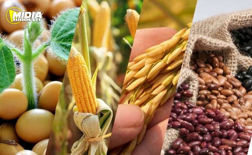  Soja, milho, arroz e feijão apresentam as maiores estimativas previstas para 2025 