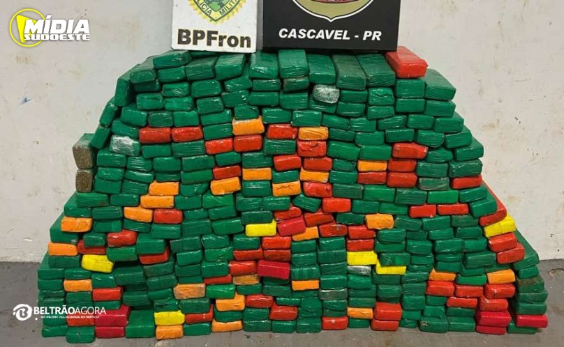 Santa Tereza do Oeste: Polícia apreende mais de 200 quilos de maconha em operação