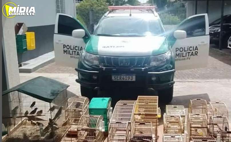 Capitão Leônidas Marques: Polícia Ambiental resgata aves mantidas em cativeiro 