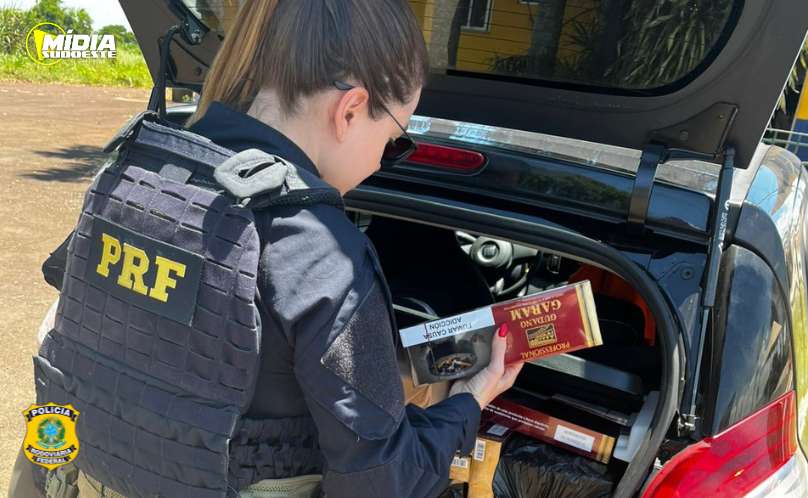 Polícia Rodoviária Federal apreende cigarros de luxo contrabandeados