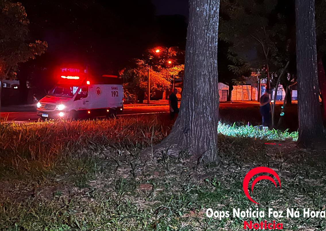Imagem 2