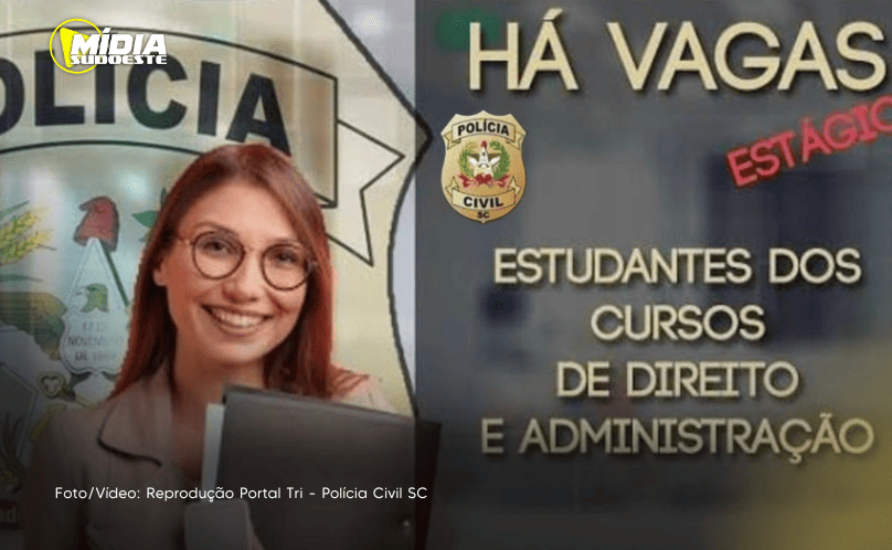 Dionísio Cerqueira: delegacia de polícia civil abre vagas para estágio renumerado