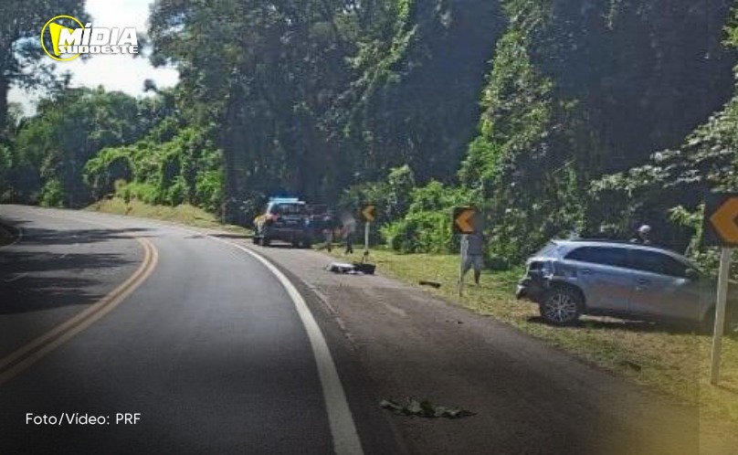 Guaraniaçu: colisão frontal é registrada na BR-277