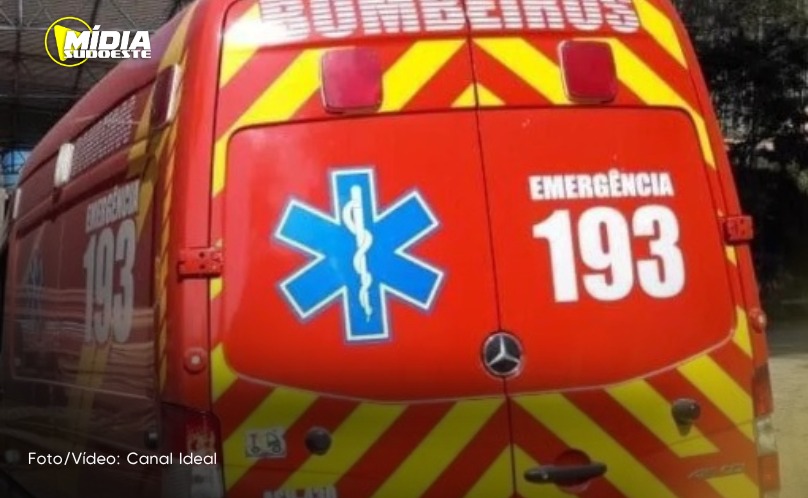 Irani: homem é encaminhado ao hospital pelos Bombeiros após ataque de abelhas