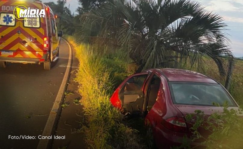 São Domingos: idoso fica ferido em saída de pista seguida de colisão em árvore registrada na SC-480