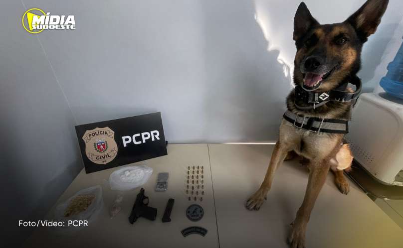 Francisco Beltrão: Polícia Civil prende suspeitos envolvidos em troca de tiros 