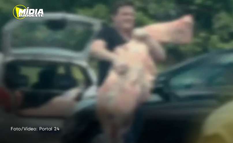 Realeza: Polícia Civil investiga furto de carnes 