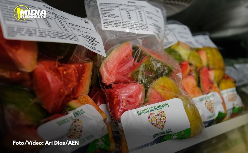 Banco de Alimentos atinge marca histórica com 7,5 mil toneladas doadas em 2024
