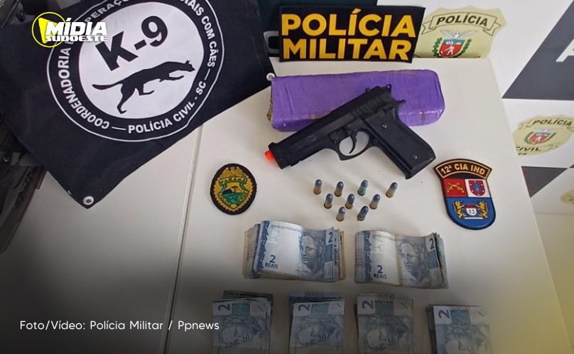 Polícia Militar apreende drogas e munições durante cumprimento de mandado