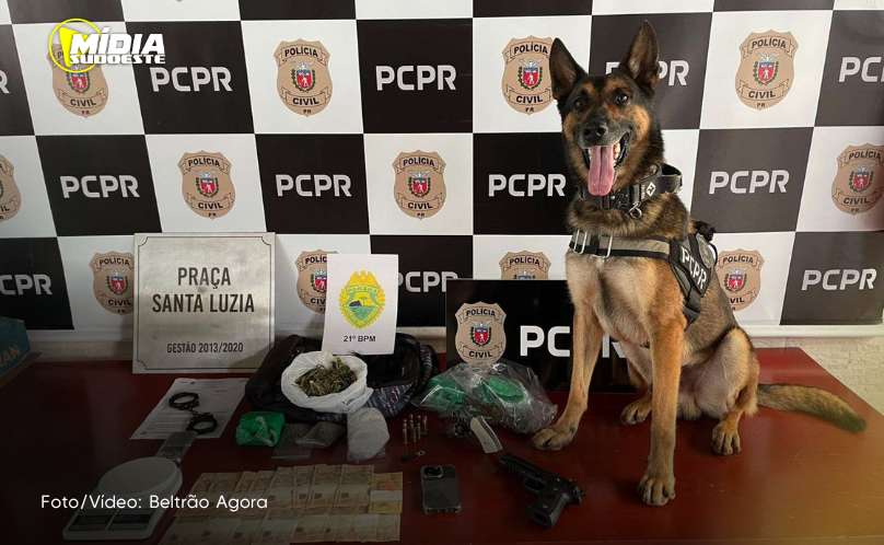 Polícia Civil e Polícia Militar deflagram Operação Homizio em Dois Vizinhos e Salto do Lontra com três prisões e apreensões 