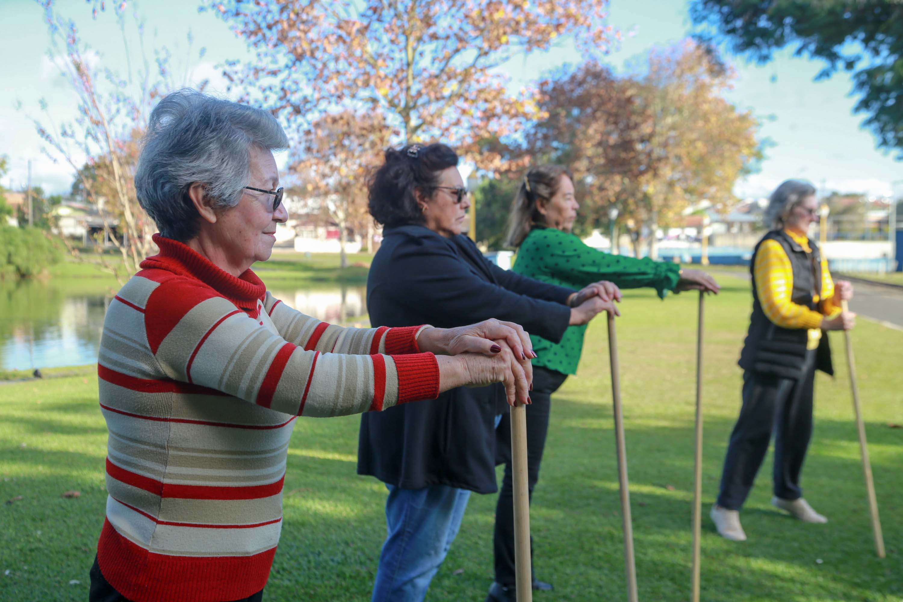 Imagem 2