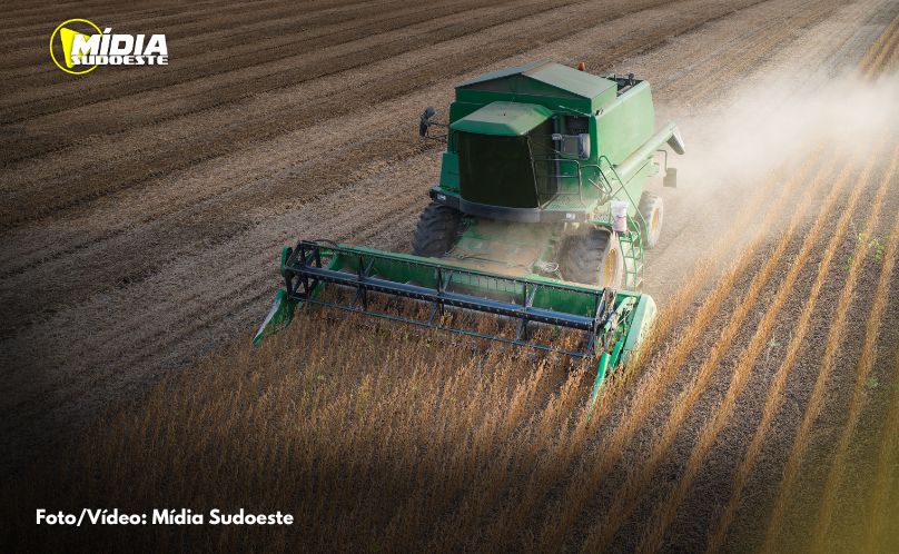 Paraná terá maior crescimento da produção agrícola entre estados do Sul e Sudeste