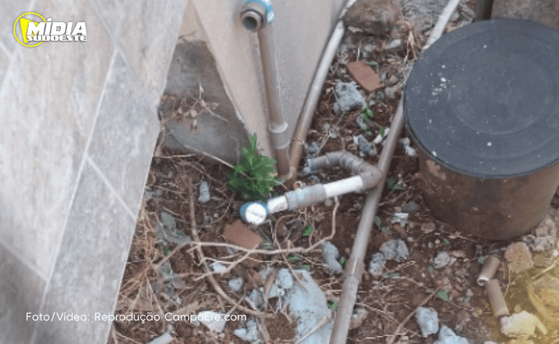 Idoso é preso por furto de água