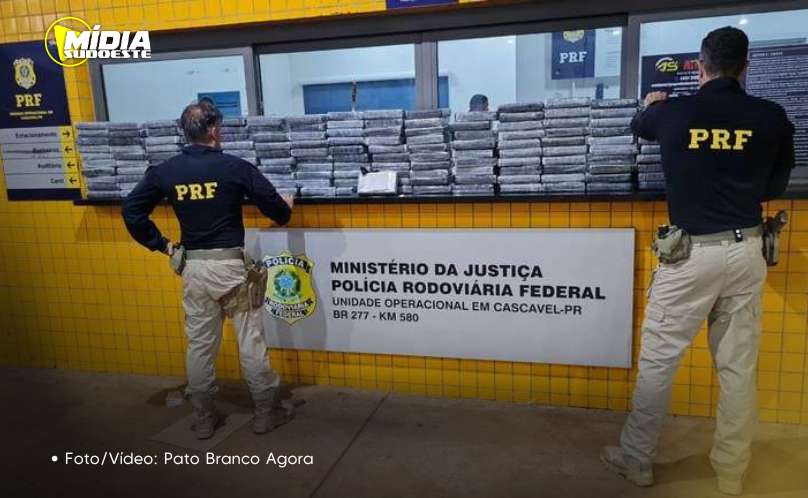 BR-277: Polícia Rodoviária Federal apreende 173 kg de cocaína 