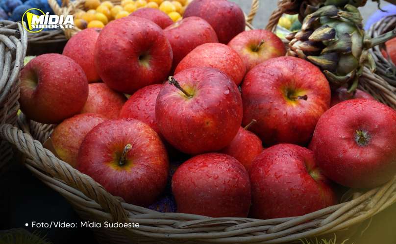 Os 10 benefícios incríveis da maçã para a saúde