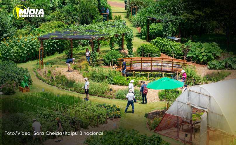Itaipu vai difundir tecnologia para agricultura agroecológica no Paraná