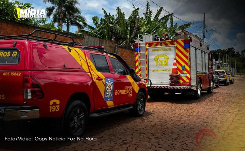 Foz do Iguaçu: ossada encontrada em obra 