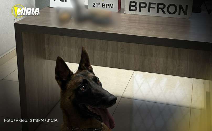 SAS: Polícia Civil e Polícia Militar realizam operação de apreensão de armas 