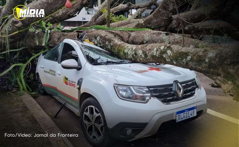 São José do Cedro: motorista da saúde sai ileso após carro ser atingido por árvore