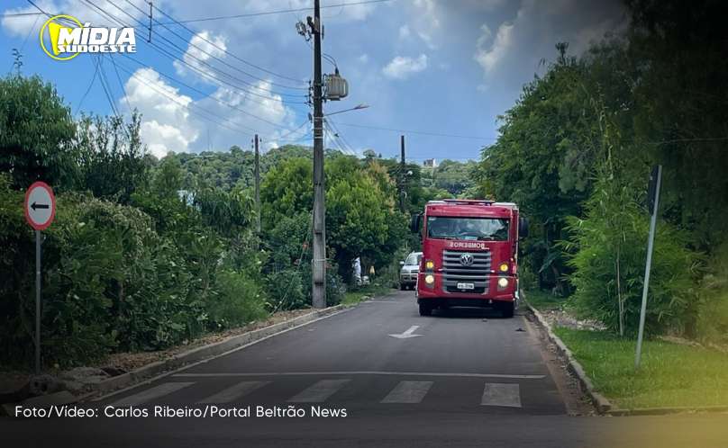 Homem é socorrido em estado grave após sofrer ataque de abelhas