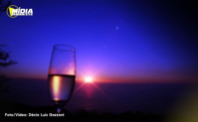 Vinho, do parreiral à mesa
