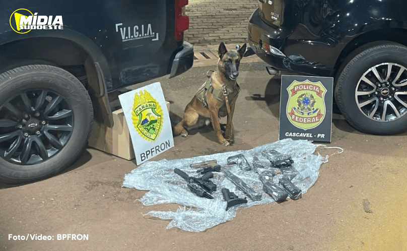 Forças de segurança apreendem armamentos em Cascavel