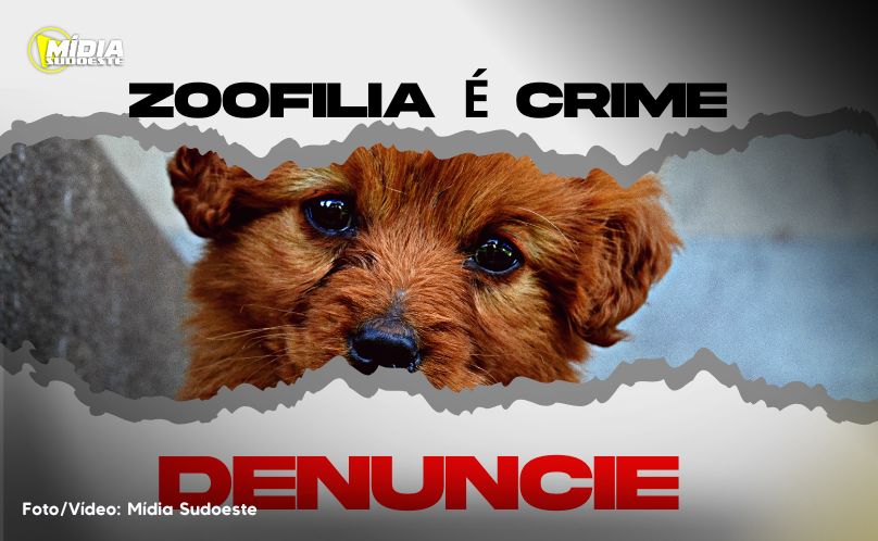 Crime de Zoofilia: homem suspeito de cometer o crime foi preso preventivamente
