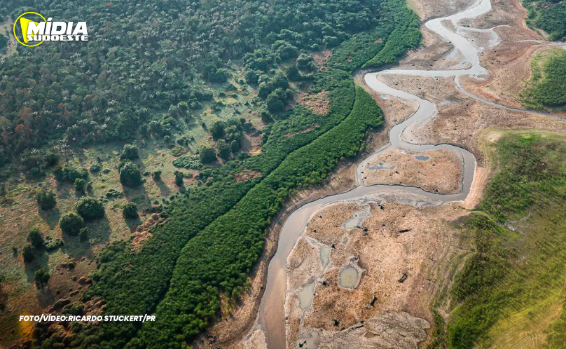 Pesquisa com bactérias na Amazônia pode desenvolver novos medicamentos