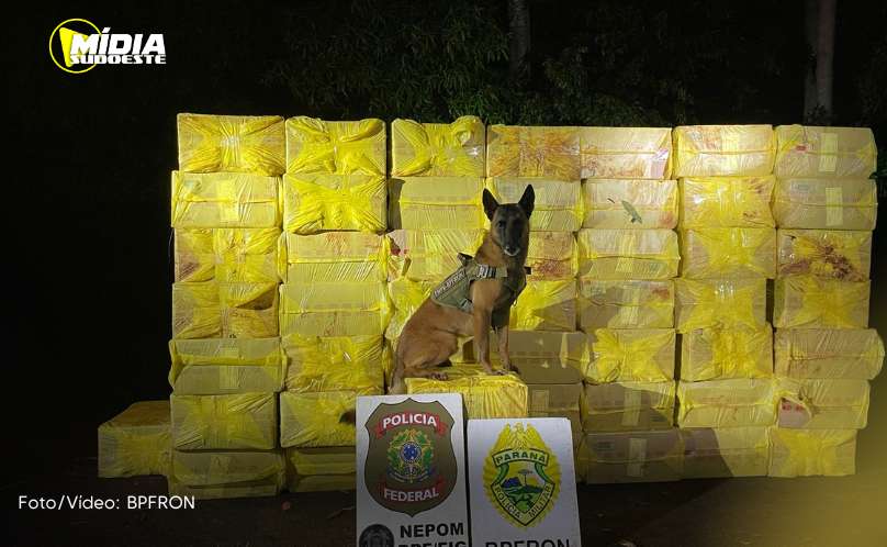 Foz do Iguaçu: BPFRON apreendem 5 mil pacotes de cigarro
