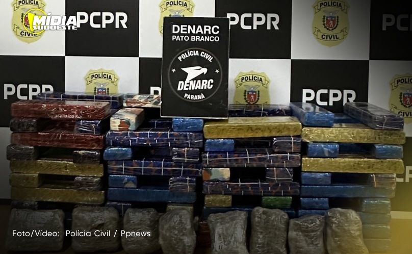 Polícia Civil apreende quase 65 kg de maconha após denúncia
