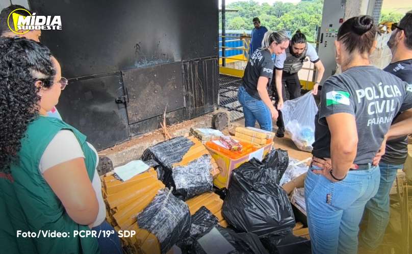 Francisco Beltrão: Polícia Civil realiza incineração de mais de 400 kg de drogas 