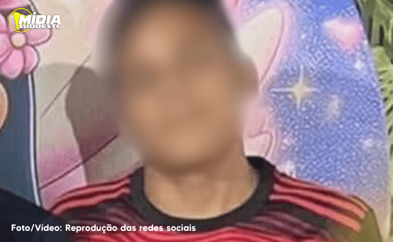 Adolescente leva mais de 4 mil picadas de abelhas em escola 
