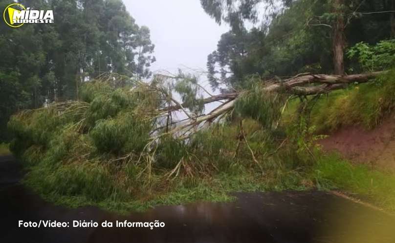 Imagem 2