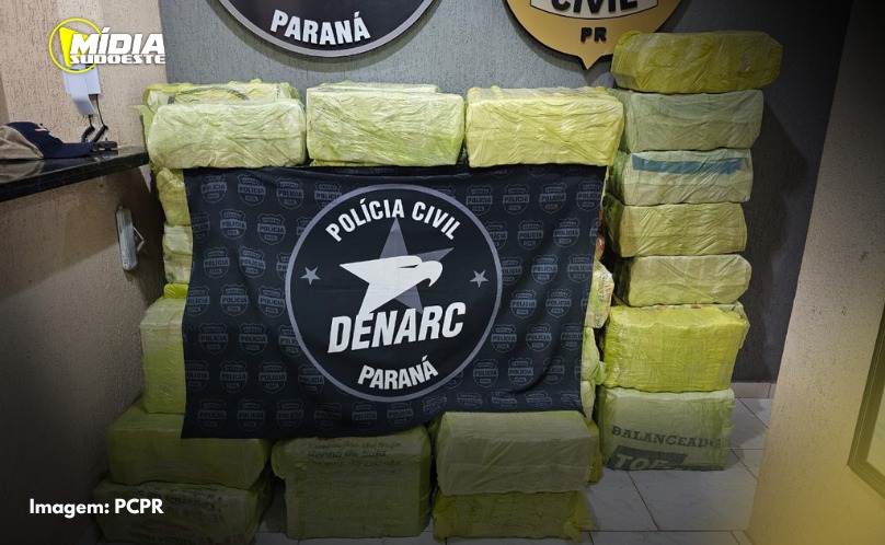 Polícia Civil do Paraná apreende quase uma tonelada de maconha em São Miguel do Iguaçu