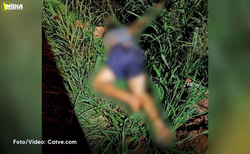 Toledo: homem é encontrado morto em mata 