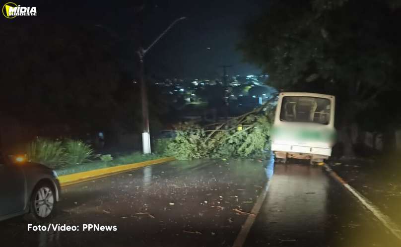 São Jorge D'Oeste: temporal causa estragos 