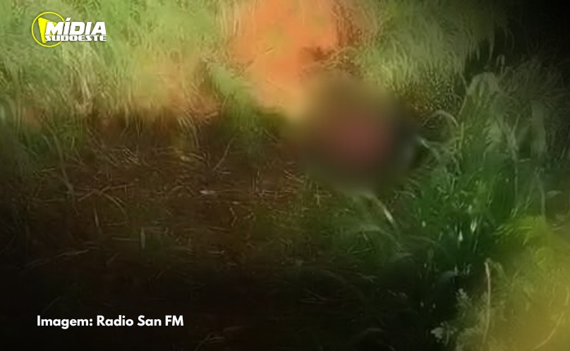 Capitão Leônidas Marques: homem é encontrado morto próximo a BR-163