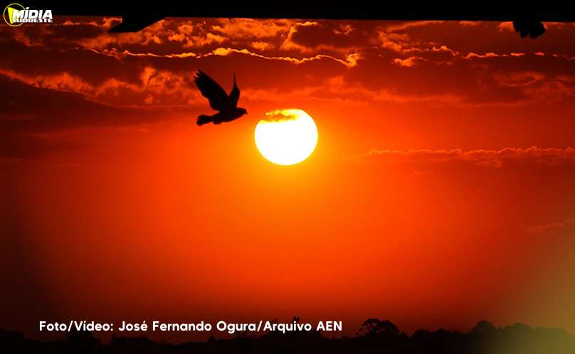 Chuvas perdem força e temperaturas seguem altas em março no Paraná, prevê Simepar 