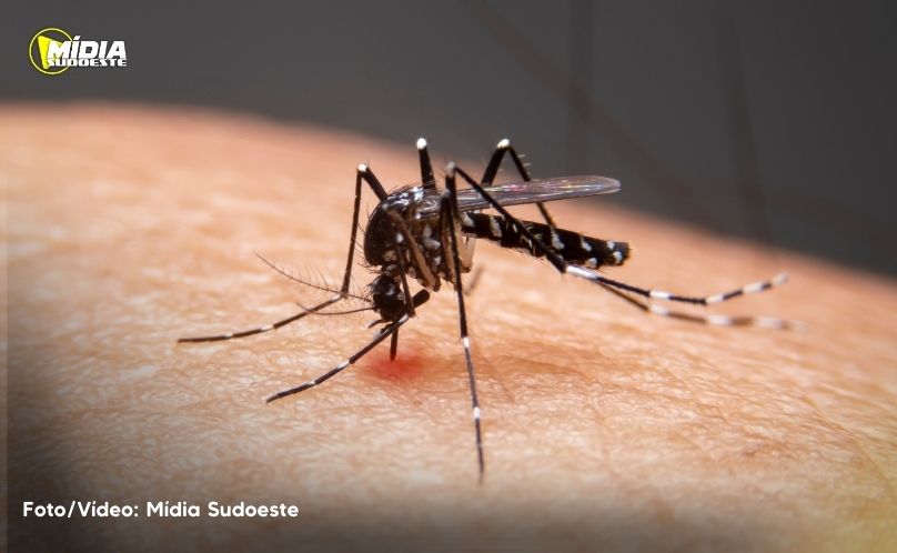 Jovem de 22 anos é primeiro óbito registrado de dengue e chikungunya em Xanxerê
