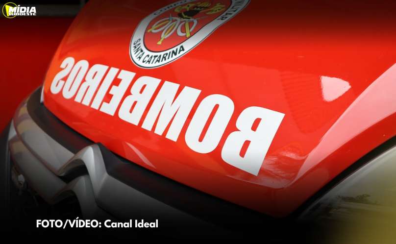 Bombeiros atendem mais de 20 pessoas após sofrerem ataque de abelhas 