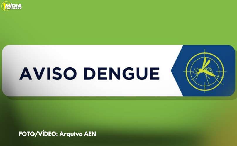 Boletim da Secretaria da Saúde confirma 2.313 novos casos de dengue no Paraná